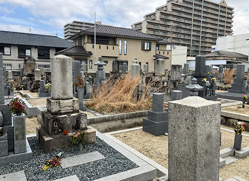 渋川墓地
