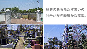 �岦�����