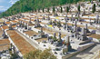 �Ƥ��ο����