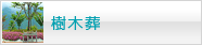 樹木葬