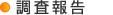 調査報告