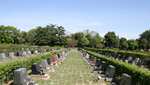 都立小平霊園