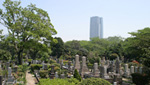 都立青山霊園