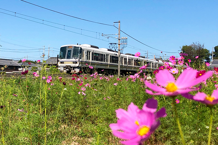 電車