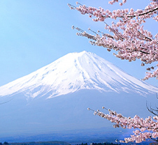 眺望（海・山）のいい霊園