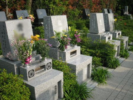 0000000673-120611-9.jpg