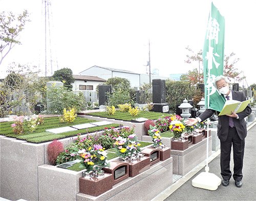 202011koshigaya_jumoku_15.jpg