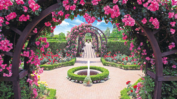 秋津ふれあいパーク　一般墓