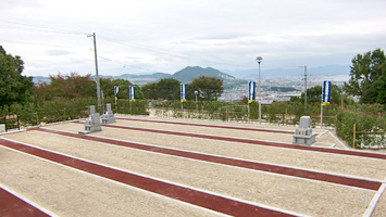 広島墓園　第三墓地