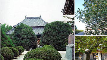 蔭涼寺
