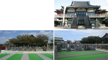 堺　妙國寺霊園