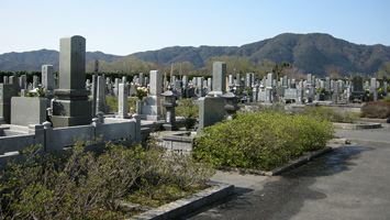 境港市営　中央墓地