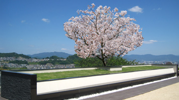 広島平和霊園　樹木葬
