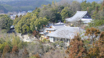 真龍寺霊園