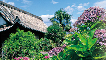 禅寂寺いずみ霊園