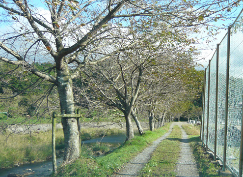 中野霊園(兵庫県)