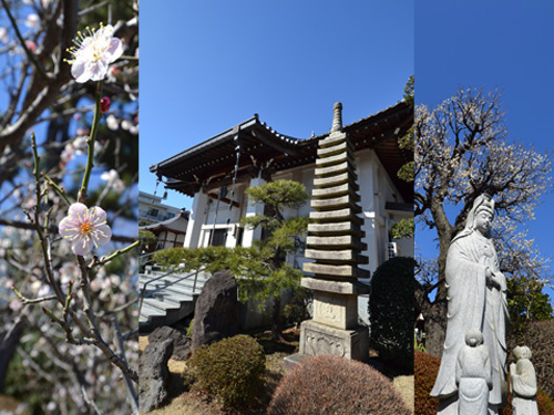 観福寺あざみ野霊園