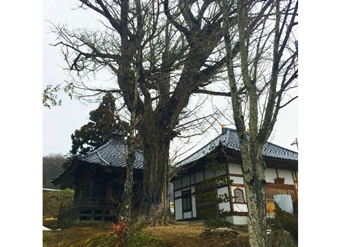 天王寺