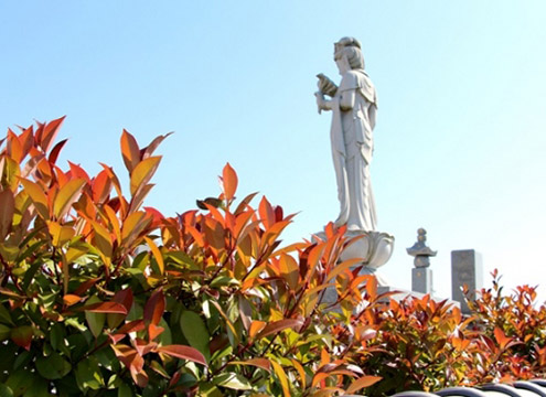 オアシス霊園　玉島　永代供養墓