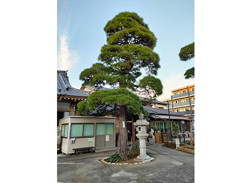 龍泉寺墓苑