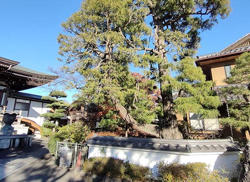 清勝院