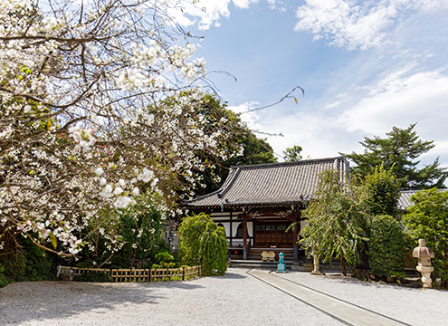 本長寺 樹木葬 星彩～せいさい～