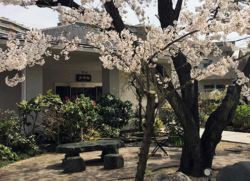 川口市南鳩ヶ谷　実正寺　永代供養墓「やすらぎの墓」