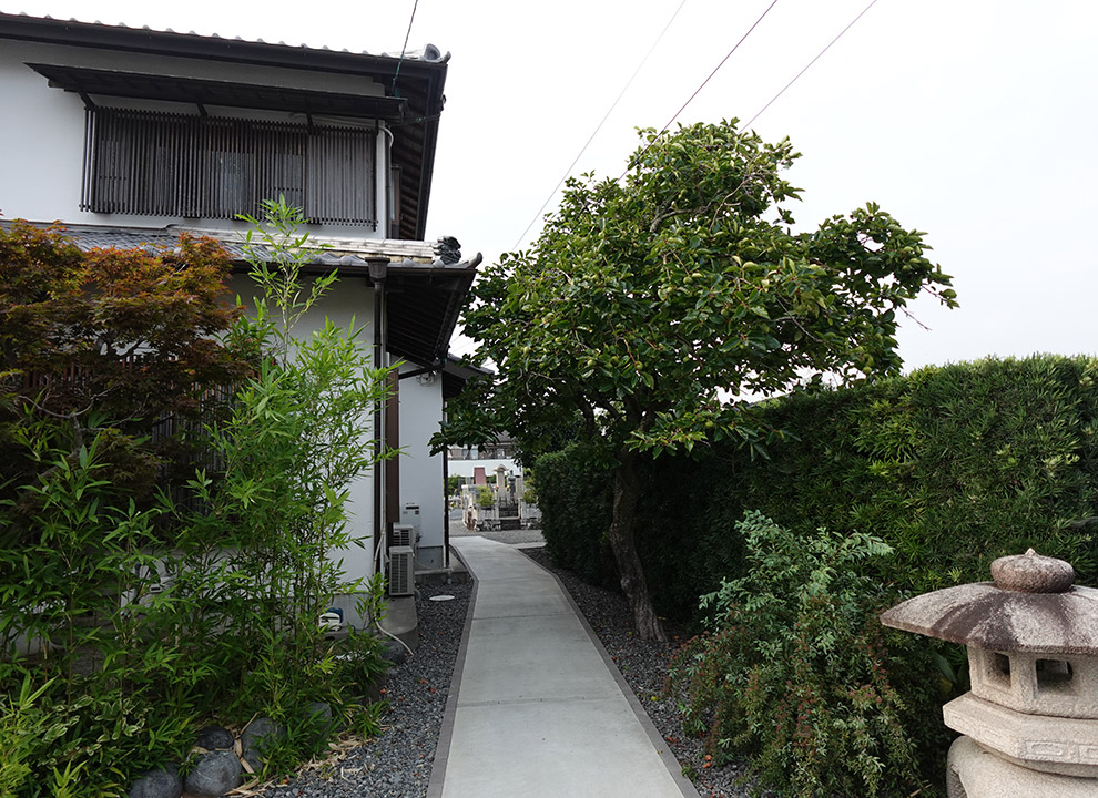 島田やすらいの樹木葬 道円寺