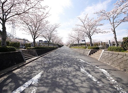 大阪柏原聖地霊園