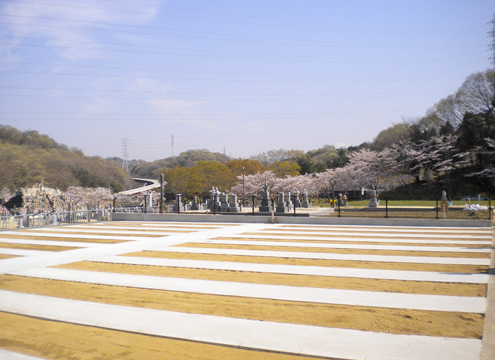 鉢ヶ峯　聖徳寺墓地