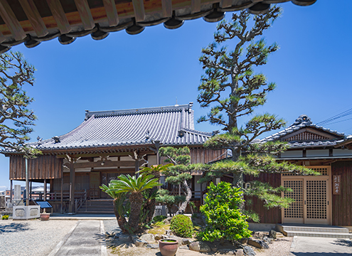 潮音寺　永代供養樹木葬　「結びの丘」