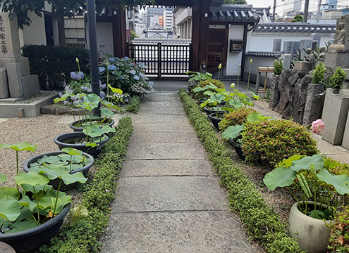 住法山　大善寺