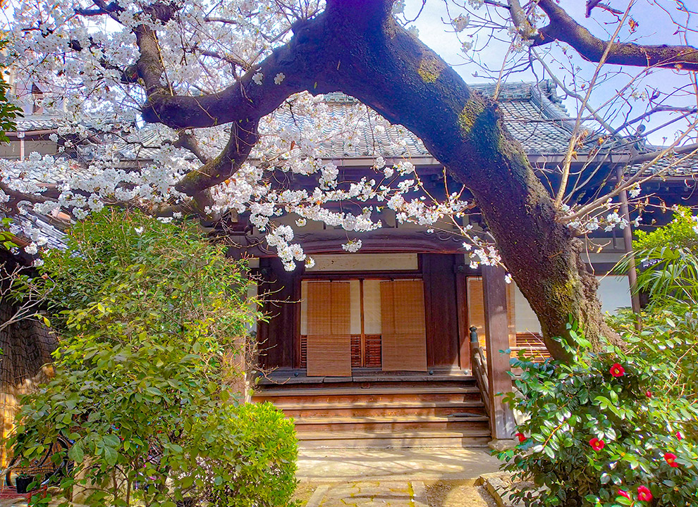 樹木葬　河原町 稱名寺フラワージュ