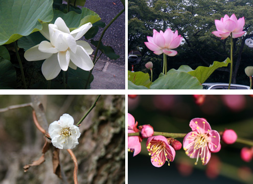 比叡山延暦寺大霊園