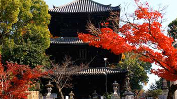 大本山 金戒光明寺