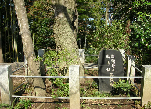 大部山真佛寺