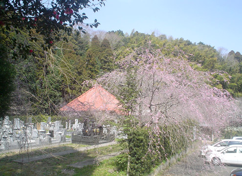 同夢山願成就寺