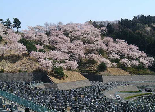 さがみ野霊園