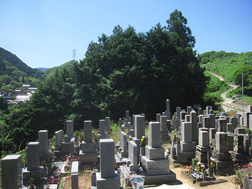 南河内郡河南町 上河内墓地