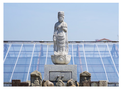 高槻東仙寺　北摂さくら霊園