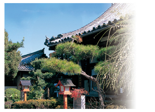 禅寂寺いずみ霊園