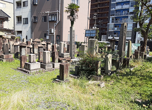 大阪市設　南浜霊園