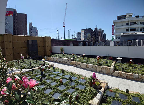 太平寺サンライズガーデン　樹木葬