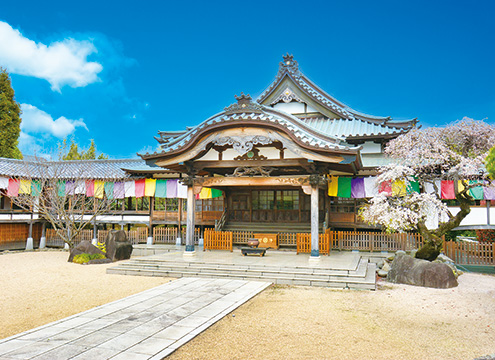 寶乘寺霊園 おもひでの径