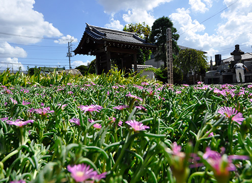 吉祥院 永代供養付墓「雙樹（そうじゅ）」