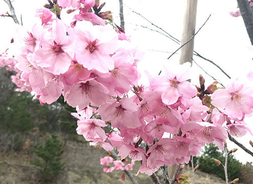 神戸山田霊苑