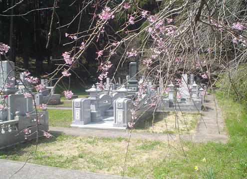 同夢山願成就寺