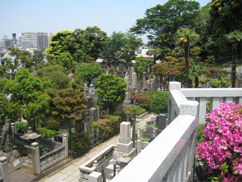 臨済宗国泰寺派　全生庵 墓地