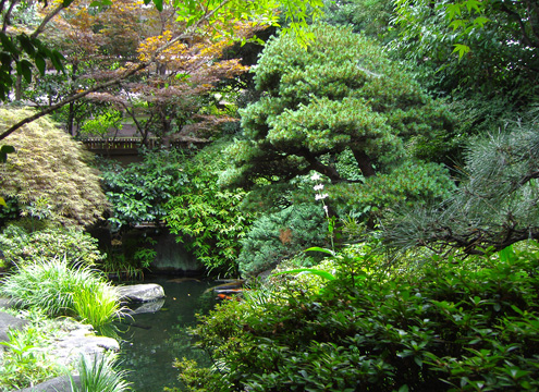 虎ノ門 攝取山 「專光寺」