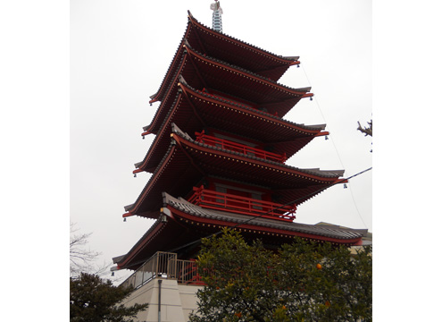 天海山 雲龍寺 光明霊園